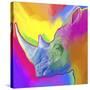 Rhino Pop Art-Howie Green-Stretched Canvas