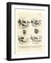 Rhino Skulls-null-Framed Giclee Print
