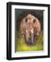 Rhino straight on-David Stribbling-Framed Art Print