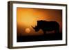 Rhino Sunrise-Mario Moreno-Framed Photographic Print