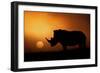 Rhino Sunrise-Mario Moreno-Framed Photographic Print