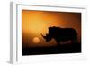 Rhino Sunrise-Mario Moreno-Framed Photographic Print