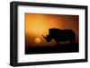 Rhino Sunrise-Mario Moreno-Framed Premium Photographic Print