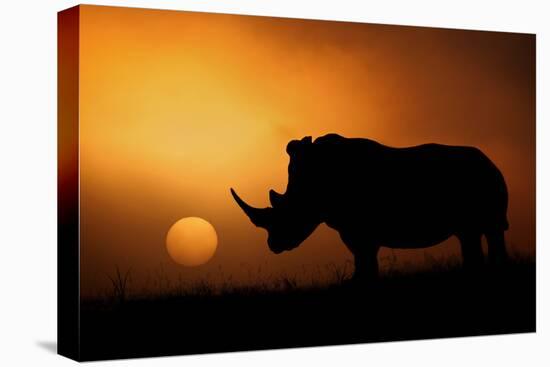 Rhino Sunrise-Mario Moreno-Stretched Canvas