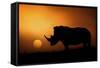 Rhino Sunrise-Mario Moreno-Framed Stretched Canvas