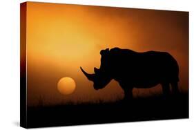 Rhino Sunrise-Mario Moreno-Stretched Canvas