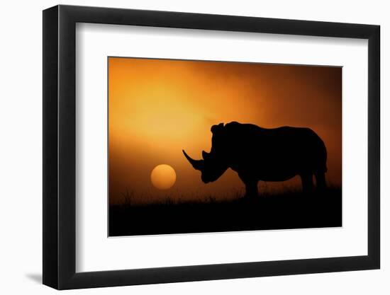 Rhino Sunrise-Mario Moreno-Framed Photographic Print