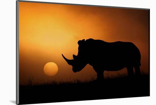 Rhino Sunrise-Mario Moreno-Mounted Photographic Print