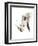 Rhino-Philippe Debongnie-Framed Art Print