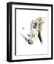 Rhino-Philippe Debongnie-Framed Art Print