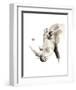 Rhino-Philippe Debongnie-Framed Art Print