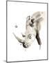 Rhino-Philippe Debongnie-Mounted Art Print