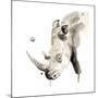 Rhino-Philippe Debongnie-Mounted Giclee Print