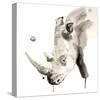 Rhino-Philippe Debongnie-Stretched Canvas