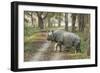 Rhino-Vikramjit Kakati-Framed Photographic Print