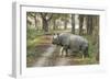 Rhino-Vikramjit Kakati-Framed Photographic Print