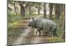 Rhino-Vikramjit Kakati-Mounted Photographic Print