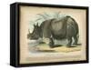 Rhino-null-Framed Stretched Canvas