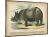 Rhino-null-Mounted Art Print