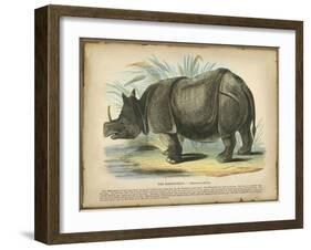 Rhino-null-Framed Art Print