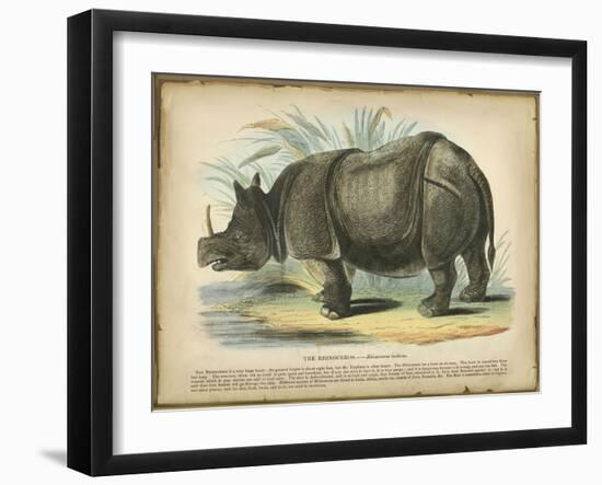 Rhino-null-Framed Art Print