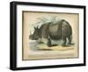 Rhino-null-Framed Art Print