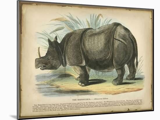 Rhino-null-Mounted Art Print