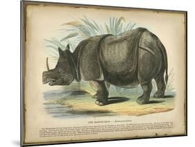 Rhino-null-Mounted Art Print