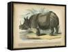 Rhino-null-Framed Stretched Canvas
