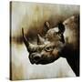 Rhino-Sydney Edmunds-Stretched Canvas