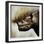 Rhino-Sydney Edmunds-Framed Premium Giclee Print