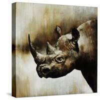 Rhino-Sydney Edmunds-Stretched Canvas