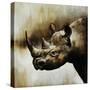Rhino-Sydney Edmunds-Stretched Canvas