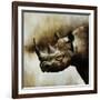 Rhino-Sydney Edmunds-Framed Giclee Print