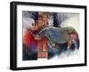 Rhino-Oxana Zaika-Framed Giclee Print