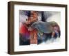 Rhino-Oxana Zaika-Framed Premium Giclee Print