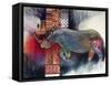 Rhino-Oxana Zaika-Framed Stretched Canvas