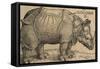 Rhinoceros, 1515, Etching-Albrecht Dürer-Framed Stretched Canvas