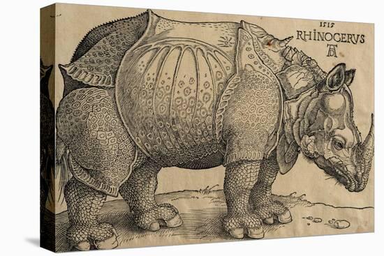 Rhinoceros, 1515, Etching-Albrecht Dürer-Stretched Canvas