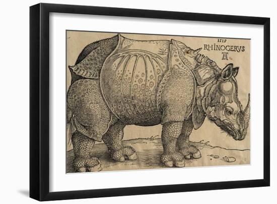 Rhinoceros, 1515, Etching-Albrecht Dürer-Framed Giclee Print