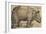 Rhinoceros, 1515, Etching-Albrecht Dürer-Framed Giclee Print