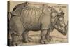 Rhinoceros, 1515, Etching-Albrecht Dürer-Stretched Canvas