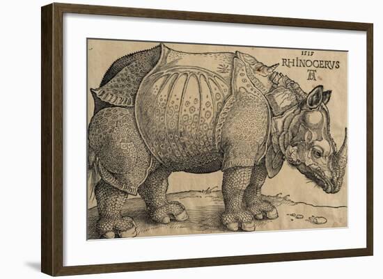 Rhinoceros, 1515, Etching-Albrecht Dürer-Framed Giclee Print