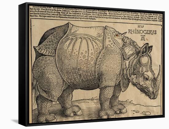 Rhinoceros, 1515-Albrecht Dürer-Framed Stretched Canvas