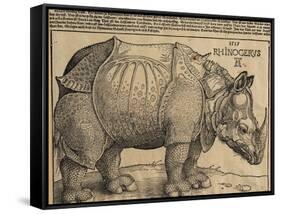 Rhinoceros, 1515-Albrecht Dürer-Framed Stretched Canvas