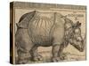 Rhinoceros, 1515-Albrecht Dürer-Stretched Canvas