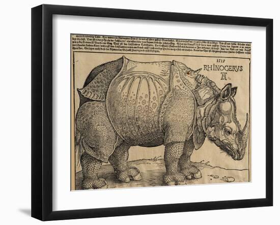 Rhinoceros, 1515-Albrecht Dürer-Framed Giclee Print