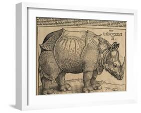 Rhinoceros, 1515-Albrecht Dürer-Framed Giclee Print