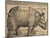 Rhinoceros, 1515-Albrecht Dürer-Mounted Giclee Print