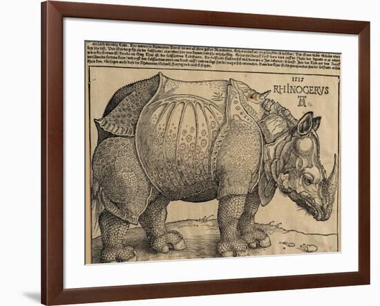 Rhinoceros, 1515-Albrecht Dürer-Framed Giclee Print